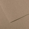 Бумага для пастели (в листах) Canson Митант 160г 75*110см №431 серый с разводами