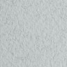 Бумага для пастели (в листах) Tiziano 160г 70*100см №29 серый холодный.