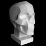 Статуя 'ЭКОРШЕ' Обрубовка черепа по Баммесу' 10-118.