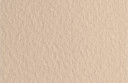 Бумага для пастели (в листах) Tiziano 160г 50*65см №40 бледно-кремовый.