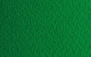 Бумага для пастели (в листах) Tiziano 160г 50*65см №12 зеленый.