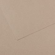 Бумага для пастели (в листах) Canson Митант 160г 75*110см №122 серый фланелевый.