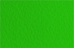 Бумага для пастели (в листах) Tiziano 160г 50*65см №37 зеленый темный.