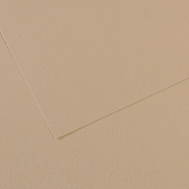 Бумага для пастели (в листах) Canson Митант 160г 75*110см №343 жемчужный.