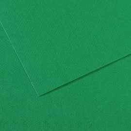 Бумага для пастели (в листах) Canson Митант 160г 75*110см №575 темно-зеленый.