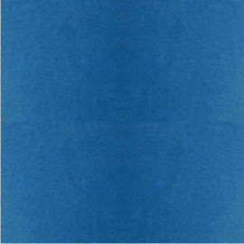 Бумага рисовальная А4 200г\м. Синяя Лилия Холдинг.
