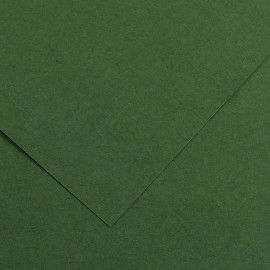 Бумага художественная IRIS Vivaldi 240гр., 50*65 гладкая № 31 зеленый еловый.