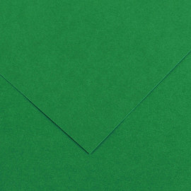 Бумага художественная IRIS Vivaldi 240гр., 50*65 гладкая № 30 зеленый мох.