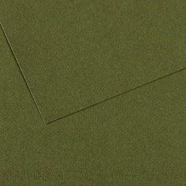 Бумага для пастели (в листах) Canson Митант 160г 75*110см №448 плющ.