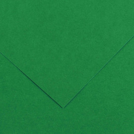Бумага художественная IRIS Vivaldi 120гр., 50*65 гладкая № 30 зелёный мох.