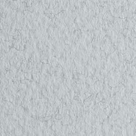 Бумага для пастели (в листах) Tiziano 160г 70*100см №29 серый холодный.