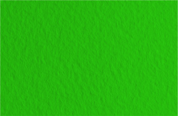 Бумага для пастели (в листах) Tiziano 160г 50*65см №37 зеленый темный.