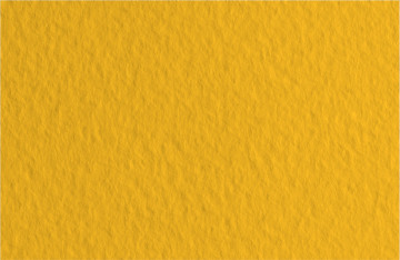 Бумага для пастели (в листах) Tiziano 160г 50*65см №21 оранжевый.