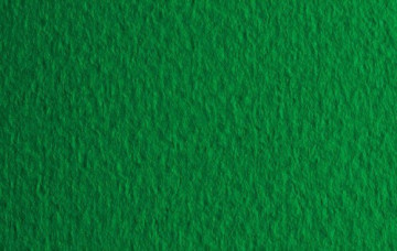 Бумага для пастели (в листах) Tiziano 160г 50*65см №12 зеленый.