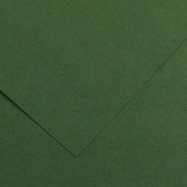 Бумага художественная IRIS Vivaldi 120гр., 50*65 гладкая № 31 зелёный еловый.
