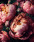 Картина по номерам 40*50 ОК 11319 Розовые пионы.