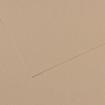 Бумага для пастели (в листах) Canson Митант 160г 75*110см №343 жемчужный.