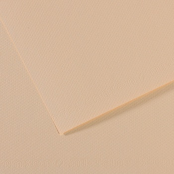 Бумага для пастели (в листах) Canson Митант 160г 75*110см №112 скорлупа.