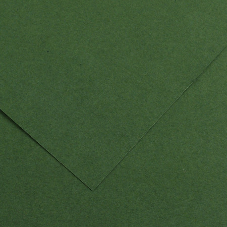 Бумага художественная IRIS Vivaldi 240гр., 50*65 гладкая № 31 зеленый еловый.