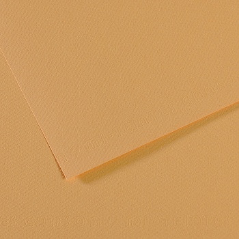Бумага для пастели (в листах) Canson Митант 160г 75*110см №340 конопляный.