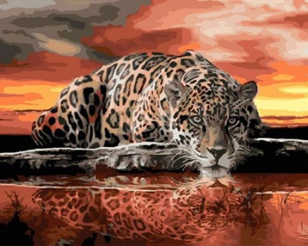 Картина по номерам 40*50 ОК10587 Уставший леопард.
