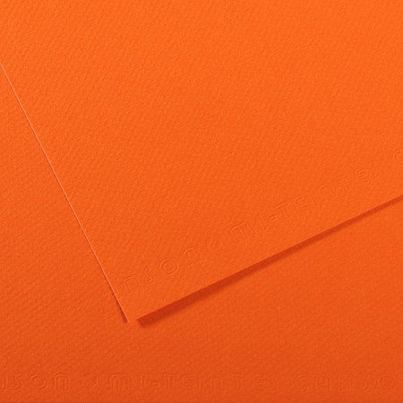 Бумага для пастели (в листах) Canson Митант А4, 160г № 453, оранжевый.