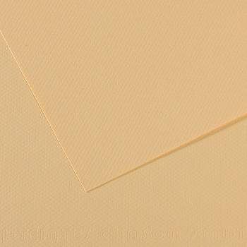 Бумага для пастели (в листах) Canson Митант 160г 75*110см №407 кремовый.