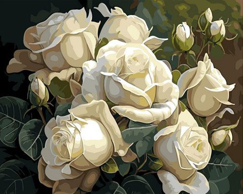 Картина по номерам 40*50 ОК 11324 Белые розы.