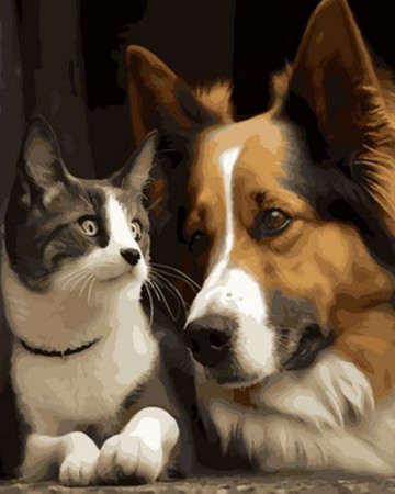 Картина по номерам 40*50 ОК 11417 Собака и кот.